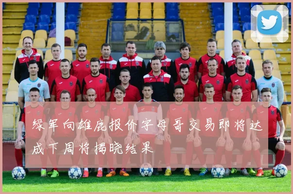 绿军向雄鹿报价字母哥交易即将达成下周将揭晓结果