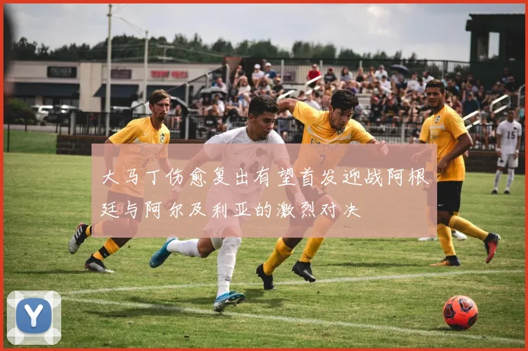 大马丁伤愈复出有望首发迎战阿根廷与阿尔及利亚的激烈对决