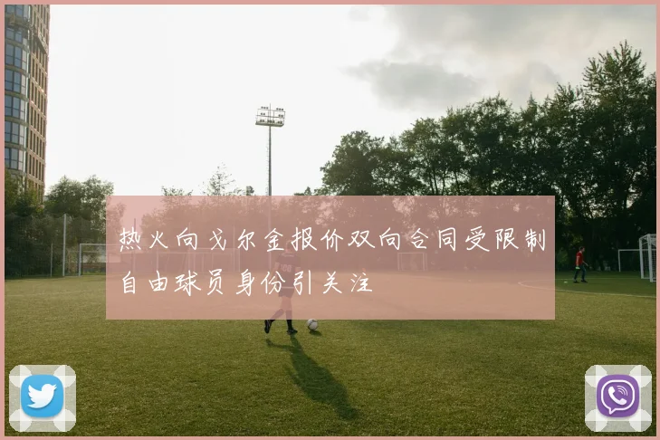 热火向戈尔金报价双向合同受限制自由球员身份引关注